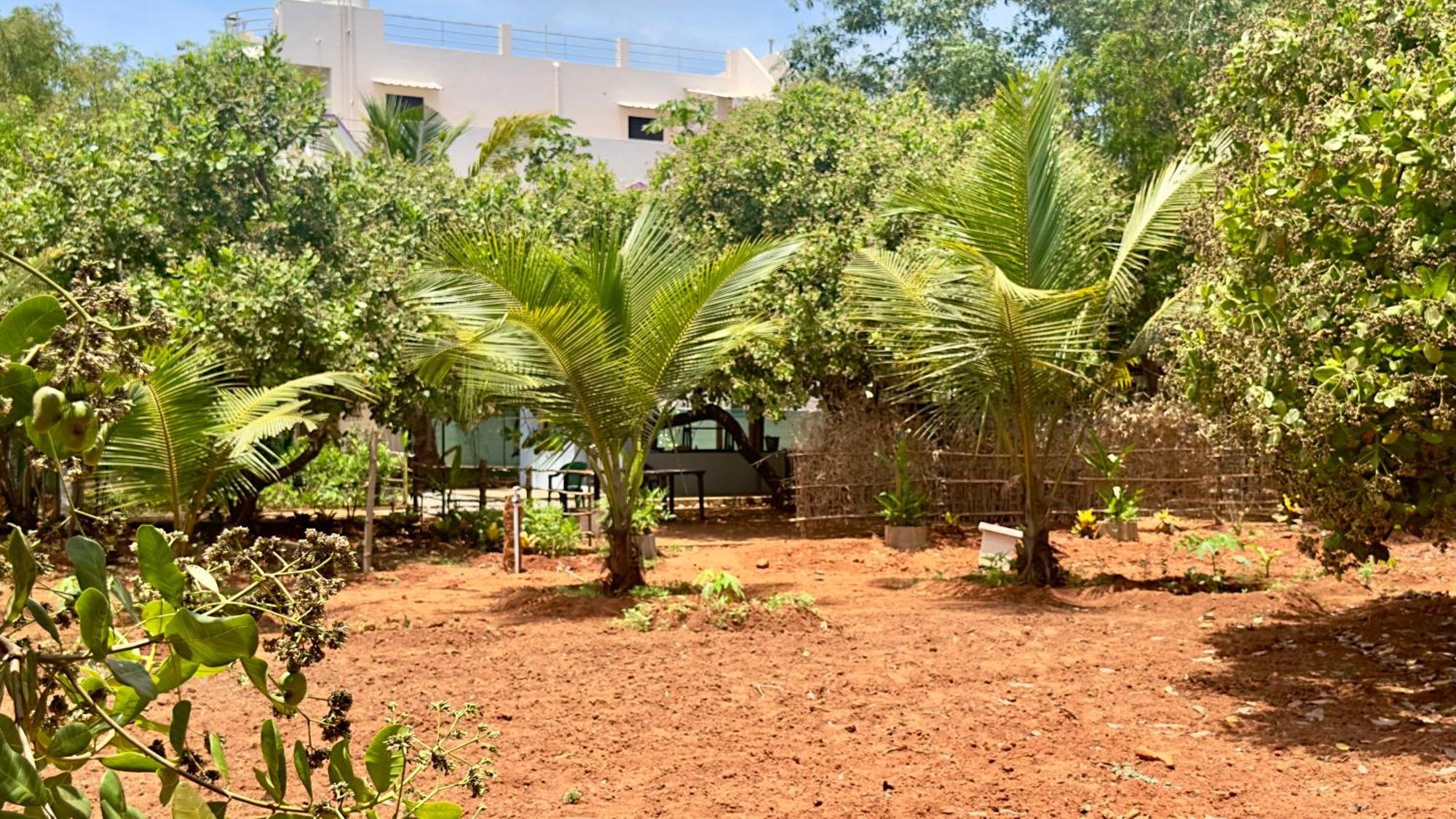 Lotus Garden Guest House أورفيلا المظهر الخارجي الصورة